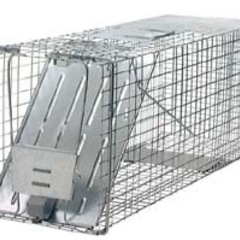 猫の捕獲器貸してください🙇🏻‍♂️