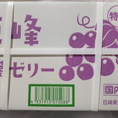 蒟蒻ゼリー　巨峰