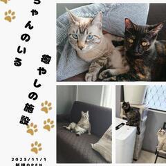 障がいをお持ちでお仕事がしたい穏やかに生活したい方募集中！！