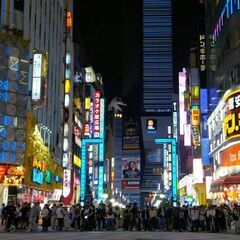 【重要事項追記！5名参加中:】プチアングラ(?)歌舞伎町〜新大久保みんなで散策しよう【午前中】 - その他