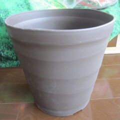 無料で差し上げます！　大型　観葉植物　鉢植え　ブラウン　高さ39...