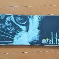 NOVEMBERsnowboards　スノボ板　LIVER156