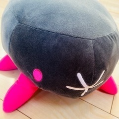 未使用　ナマコブシ　ポケモン