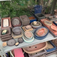 鉢　小鉢　植木鉢　最安値50円～