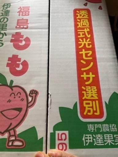 福島県優品式光センサー選別あかつき品種5kg