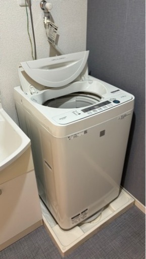 家電 生活家電 洗濯機