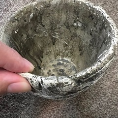 鉢の画像