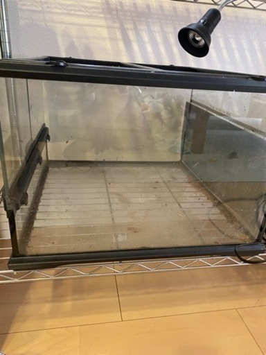 爬虫類　ケージ　304545