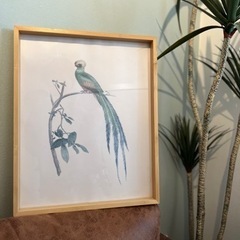 IKEA FAGERON 鳥の絵画