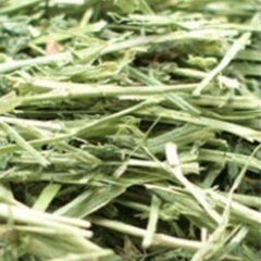 牧草売って下さい。