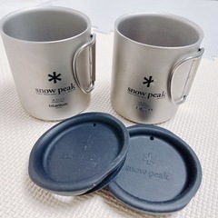 チタンマグの中古が安い！激安で譲ります・無料であげます