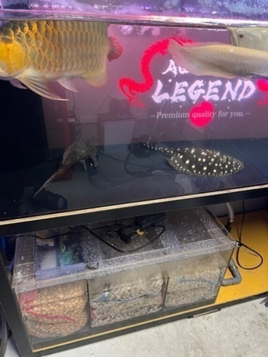 【決まりました
】1800オーバーフロー水槽一式