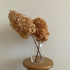 秋色アジサイ(ミナヅキ)ドライフラワー2本セット 紫陽花　アンテ...