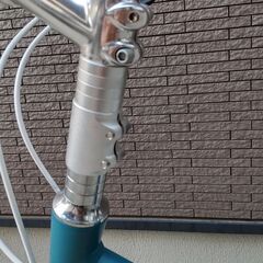 美品ライトウエイ　グレイシア　限定カラーの画像