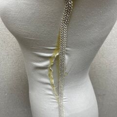 洋裁用 トルソー ボディ マネキンの画像