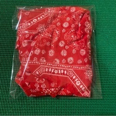 SOLD OUT　ワンピース ペイズリー レッドの画像