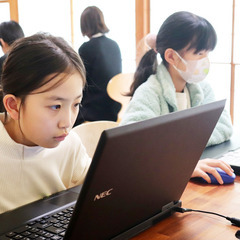 マイクラやロブロックスで、プログラミングの講師を担当してください。の画像