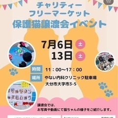 保護猫ちゃんの譲渡会🐈🐈‍⬛