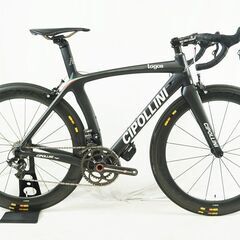 CIPOLLINI 「チポッリーニ」 LOGOS 2013年モデ...