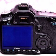 キャノン Canon EOS 50D☆スマホに転送♪☆最高のハイスペック機♪の画像