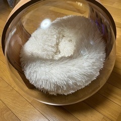 猫ハウスの画像