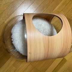 猫ハウスの画像