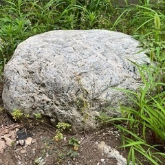 【無料！】庭石差し上げます！