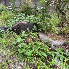 【無料！】庭石差し上げます！の画像