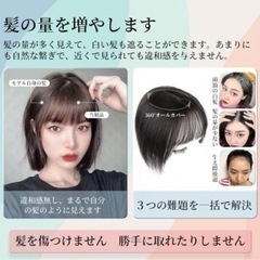 新品未使用部分ウィッグ の画像
