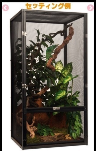 値段交渉あり！カメレオン　爬虫類　EXOTERRAゲージ　　
