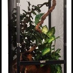 値段交渉あり！カメレオン 爬虫類 EXOTERRAゲージ