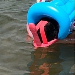 [中古]幼児／子供用 シュノーケルマスク ゴーグルの画像