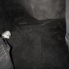 ZARA リアルスエード ショルダーバッグ ザラの画像