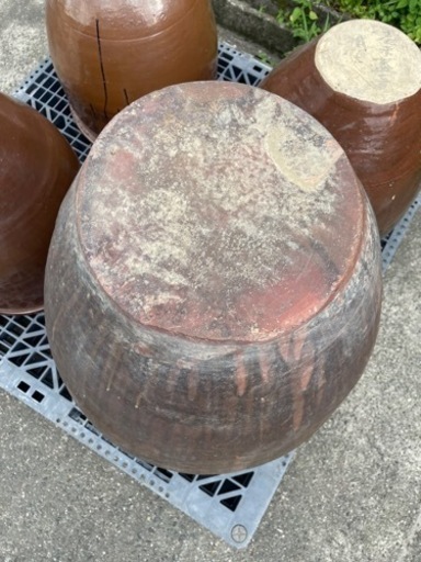 水瓶 大きい メダカ 睡蓮 瓶　生活雑貨 家庭用品 ガーデニング