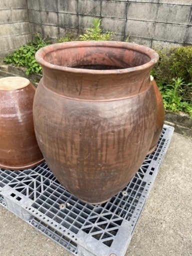 水瓶 大きい メダカ 睡蓮 瓶　生活雑貨 家庭用品 ガーデニング