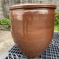 ①水瓶 メダカ 睡蓮　生活雑貨 家庭用品 ガーデニング