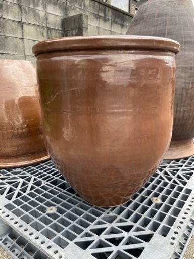 ①水瓶 メダカ 睡蓮　生活雑貨 家庭用品 ガーデニング