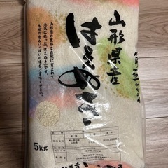 お米　国産米　10キロ