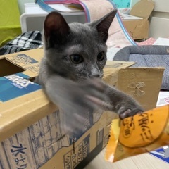 ストップ/ 仲良しペア募集
