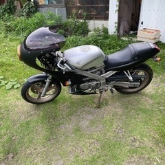 バイク　スパーダ　決まりました