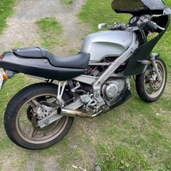 バイク　スパーダ　決まりましたの画像