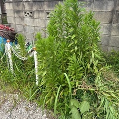 "お取引決定しました"多数のご連絡ありがとうございました