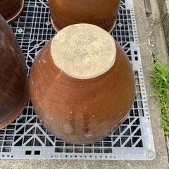 ③ 水鉢 睡蓮 メダカ 瓶　生活雑貨 家庭用品 ガーデニングの画像