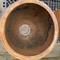 ③ 水鉢 睡蓮 メダカ 瓶　生活雑貨 家庭用品 ガーデニングの画像