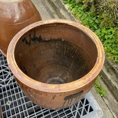 ③ 水鉢 睡蓮 メダカ 瓶　生活雑貨 家庭用品 ガーデニングの画像