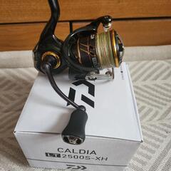 （取引中）21カルディア2500s-xh