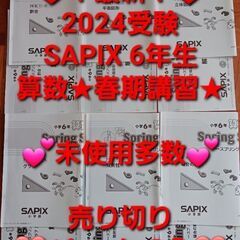 【★最新★2024受験】【ほぼ未使用】Sapix 算数 春期講習...