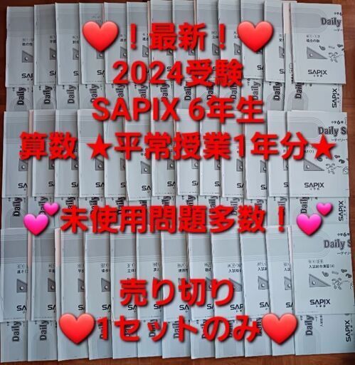 ☆2024受験】【未使用多数】Sapix6年 算数 平常授業1年分セット⑥