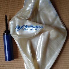 バランスボールとポンプ ストレッチボール ジムボールの画像