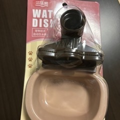 猫水飲みの画像